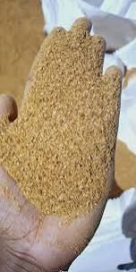 Beer Residue 28% Protein