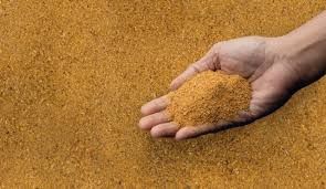 Inquiry for DDGS Supply