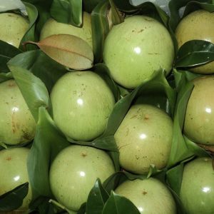 LO REN MILK FRUIT